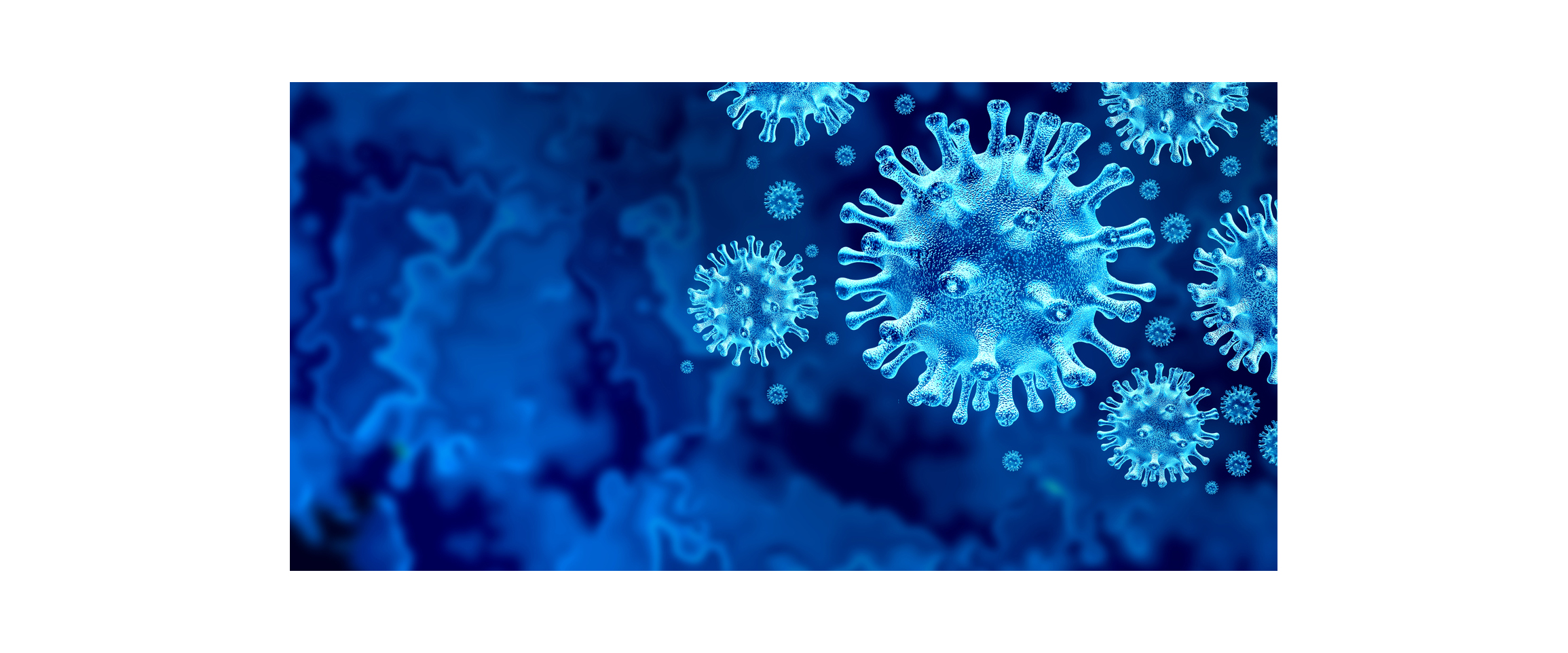 corona virus