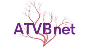 ATVB_Net