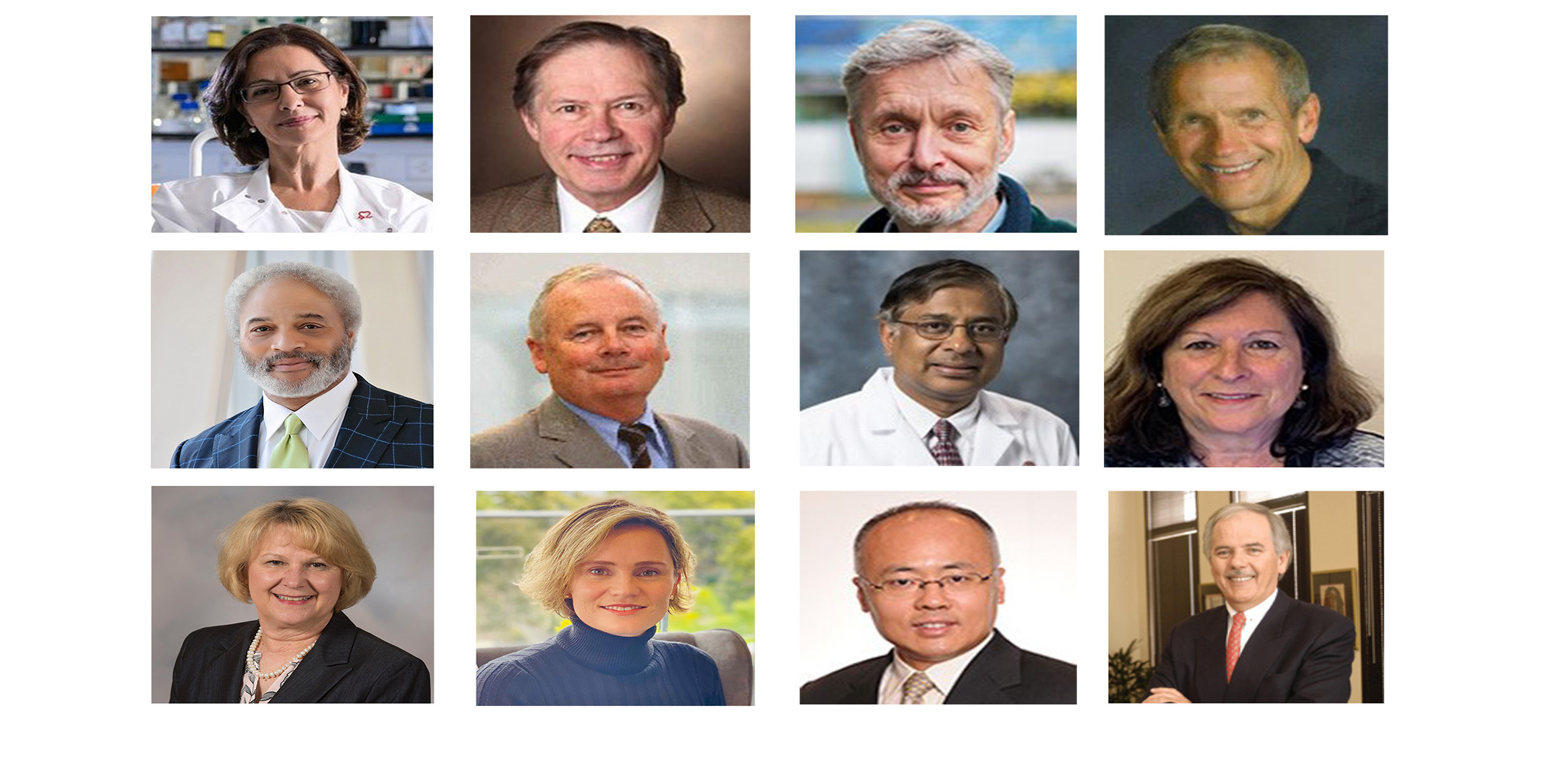 Meet the Hypertension Editors
