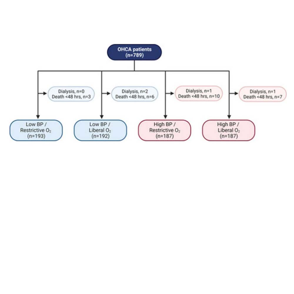 BOX-Trial: Acute Kidney Injury and Cardiac Arrest